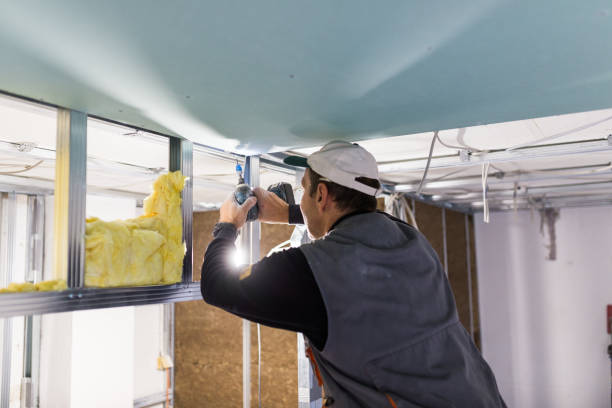 Best Commercial Insulation in Scott City, MO